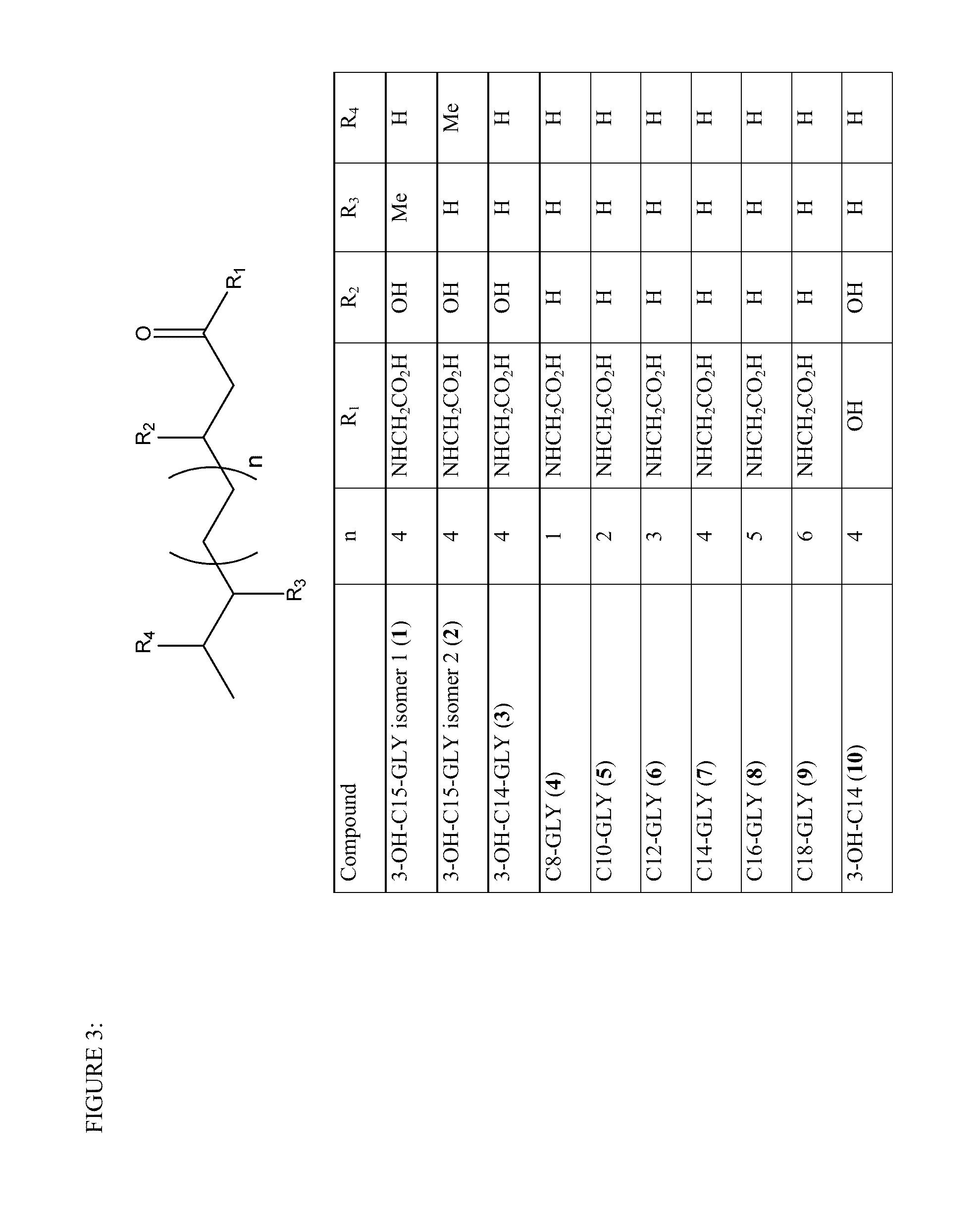 Heterologous expression of glycine n-acyltransferase proteins