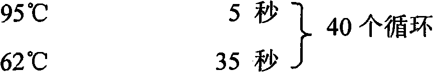 Trypsin gene cDNA sequence of Scylla paramamosain and cloning method and application thereof