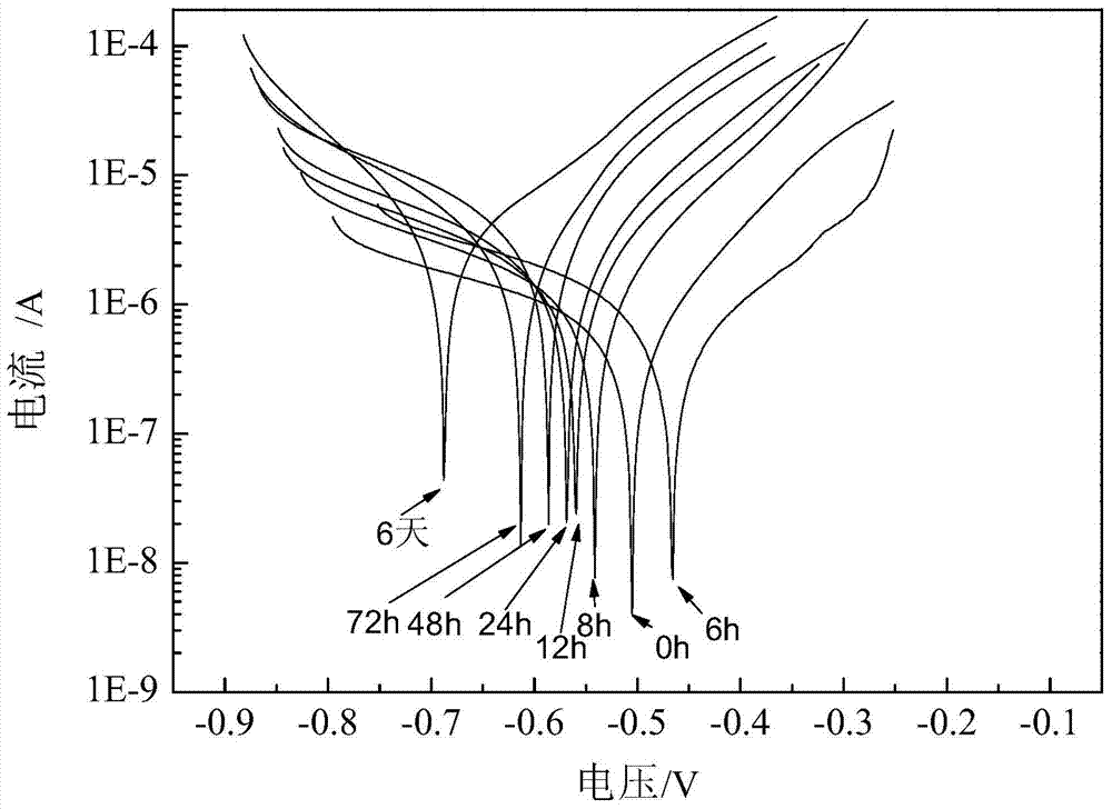 Coal-based polyaniline and anti-corrosive paint