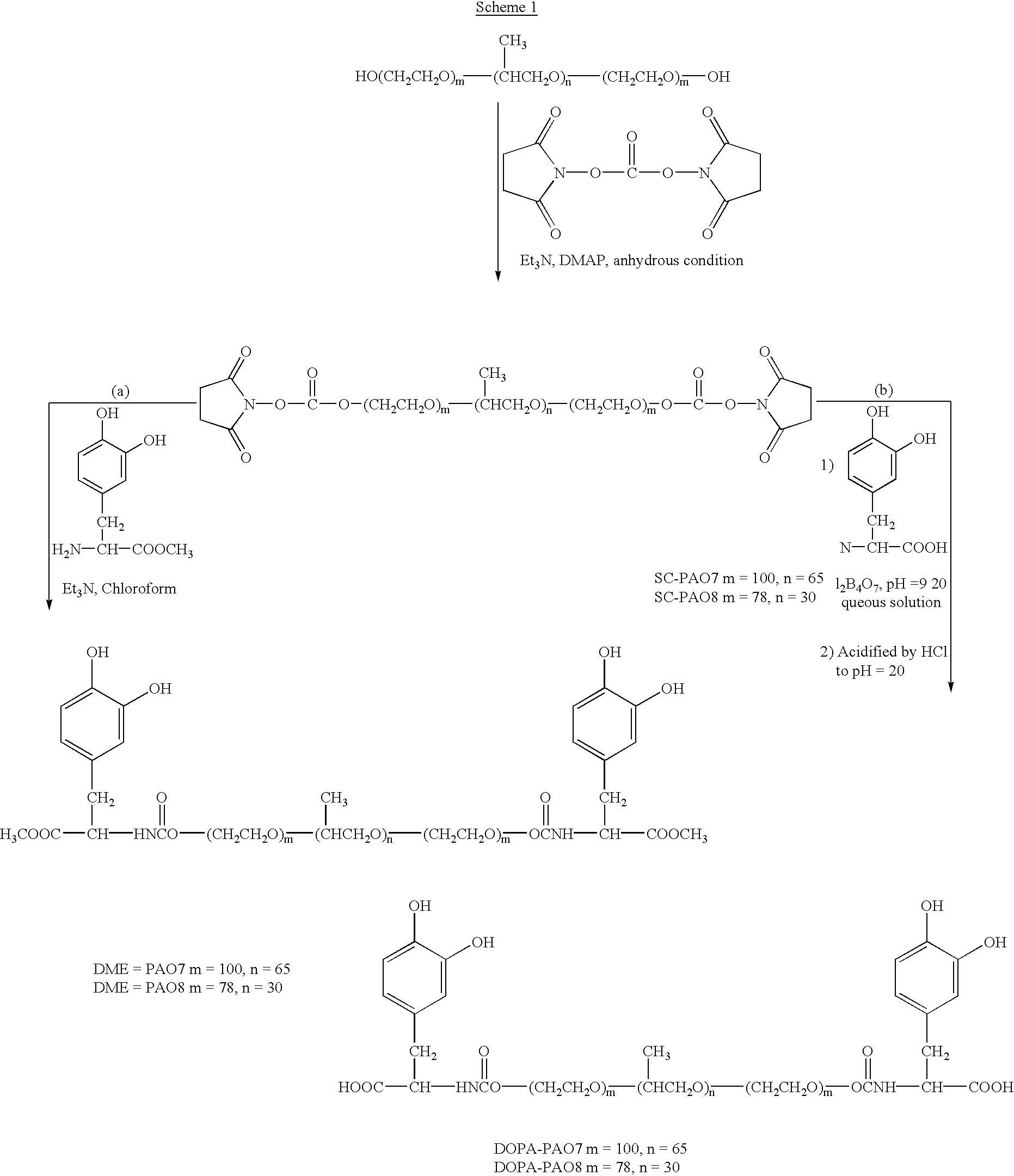 Adhesive DOPA-containing polymers and related methods of use