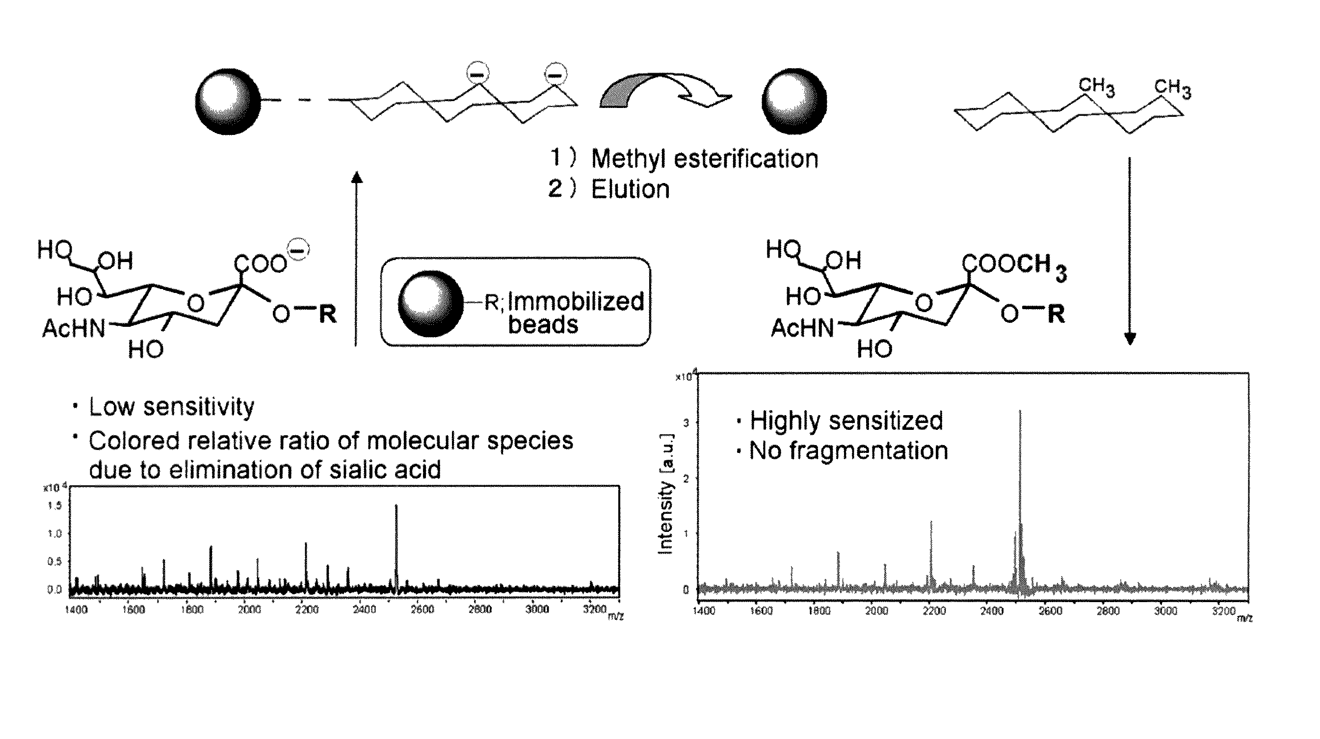 Method of esterifying bio-related molecule for mass spectrometry and method of mass spectrometry of obtained esterified derivative