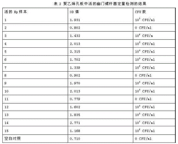 Quantitative determination of Helicobacter pylori live bacteria, drug susceptibility determination kit and determination method