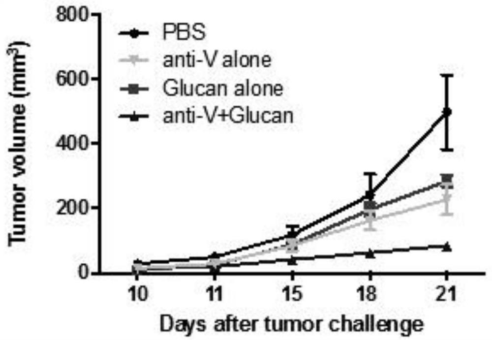 Application of beta-glucan combined with anti-tumor drug in anti-tumor treatment