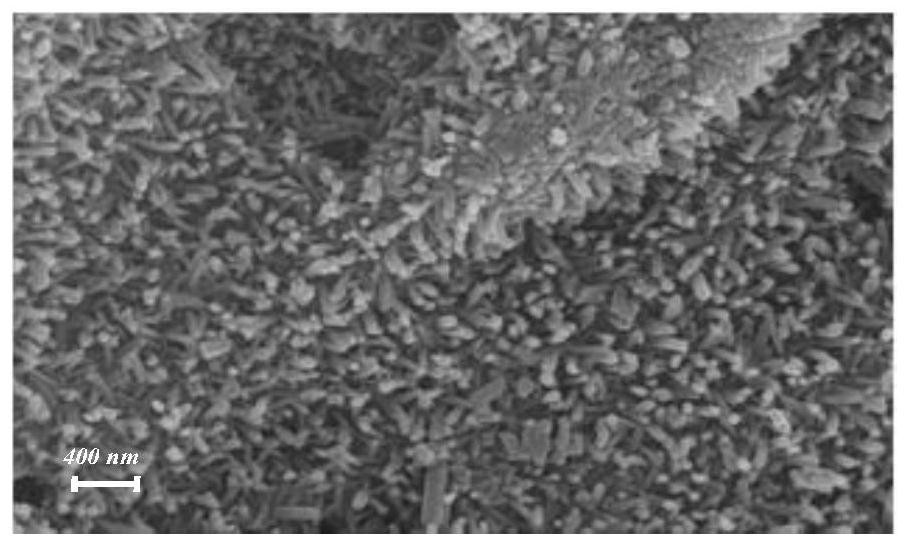 Preparation method of metal organic framework based on ionic liquid microemulsion