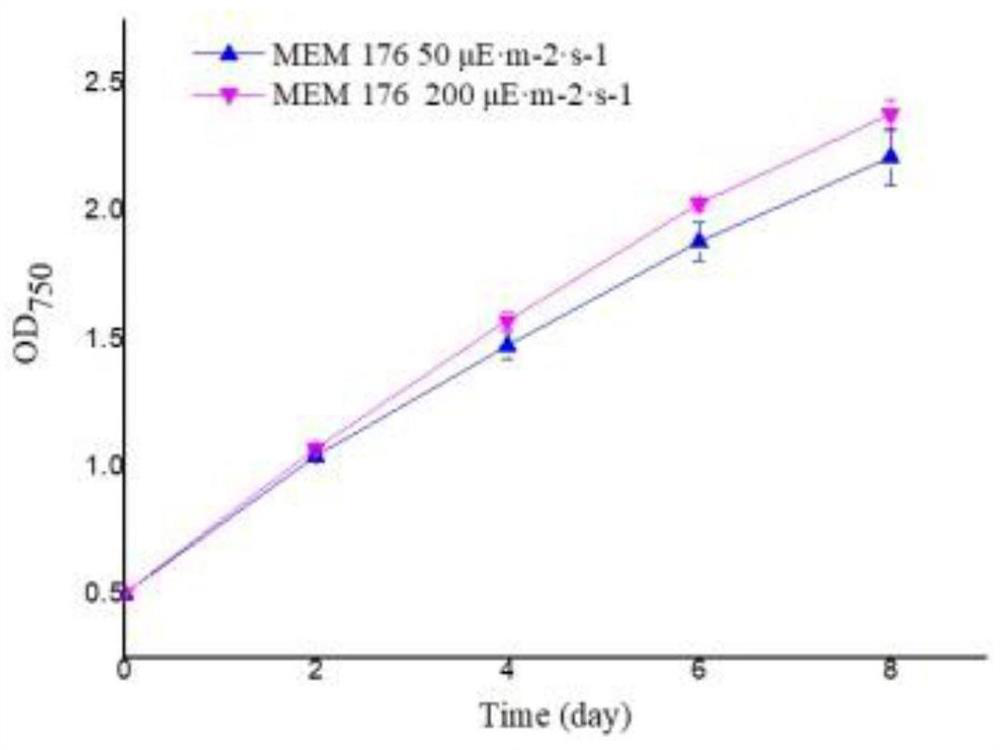 Screening of high-temperature-resistant and high-light-resistant Tetraselmis