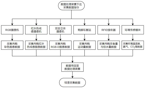 Method and system for inspection of physiological growth information of meat ducks