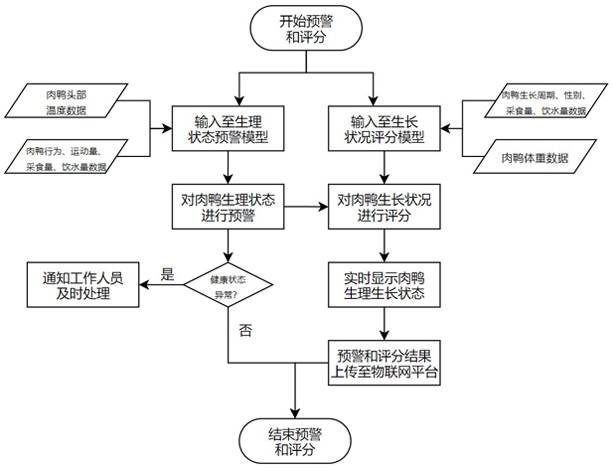 Method and system for inspection of physiological growth information of meat ducks