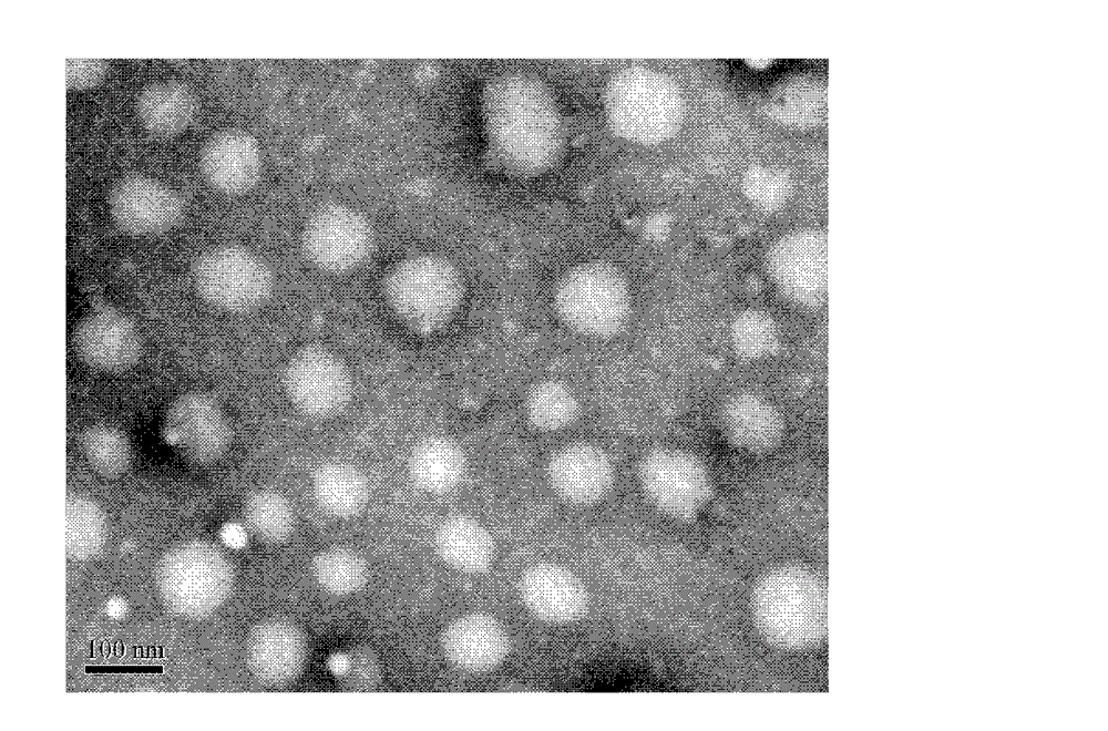 Double-arm hyperbranched starlike amphiphilic polylactic acid-poly2-methacryloyloxy ethyl phosphorylcholine block polymer and preparation method thereof