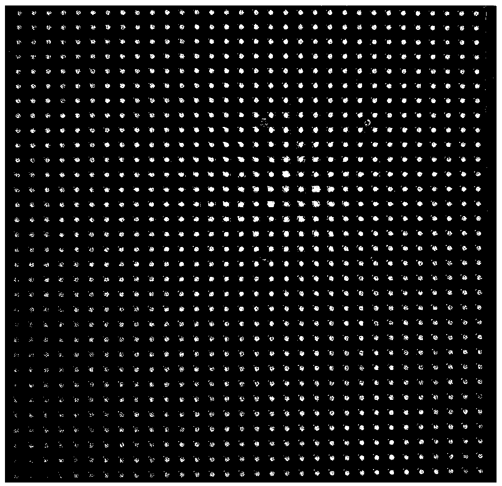 Compressed sensing-based FPM (Fourier ptychographic microscopy) algorithm