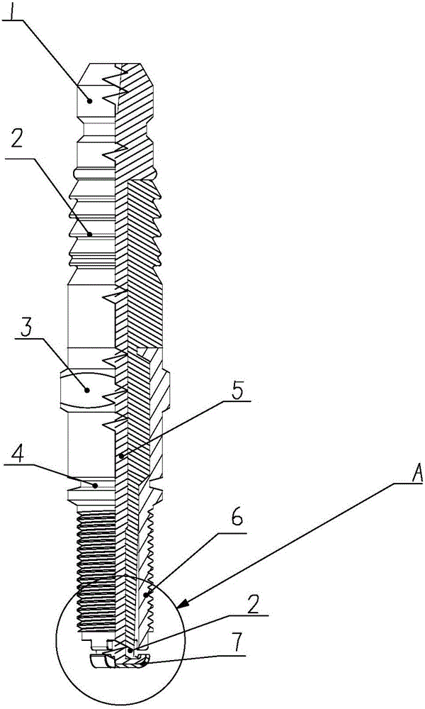 Positive ceramic wrapped type multipole spark plug