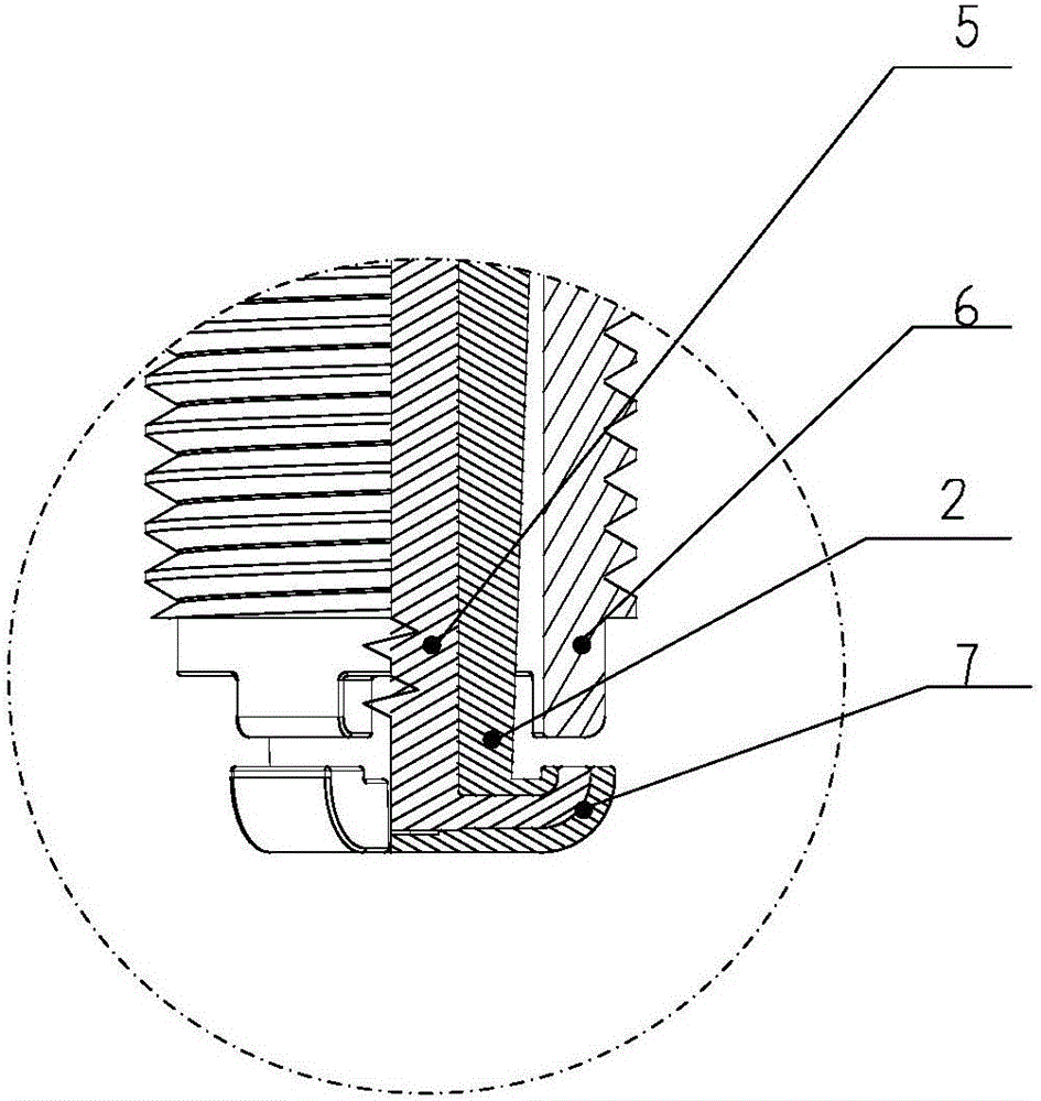 Positive ceramic wrapped type multipole spark plug