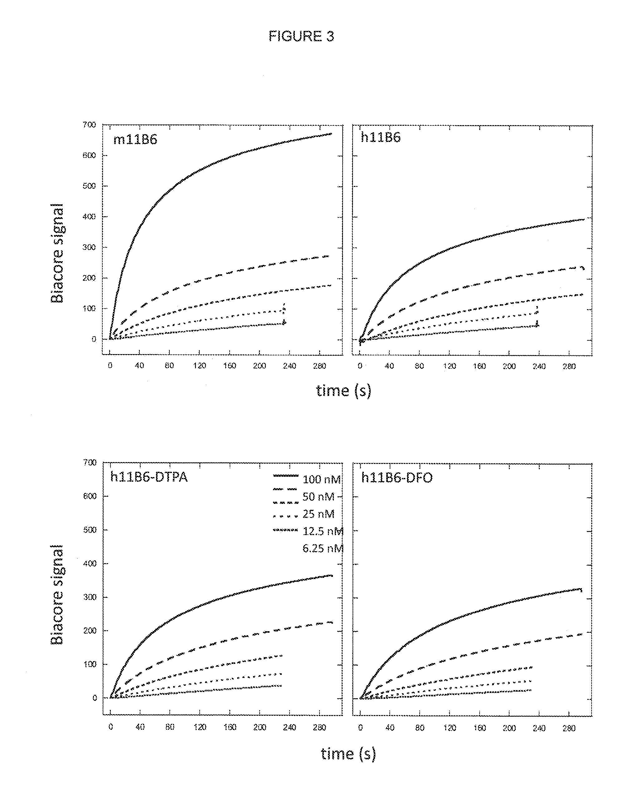 Humanised anti kallikrein-2 antibody