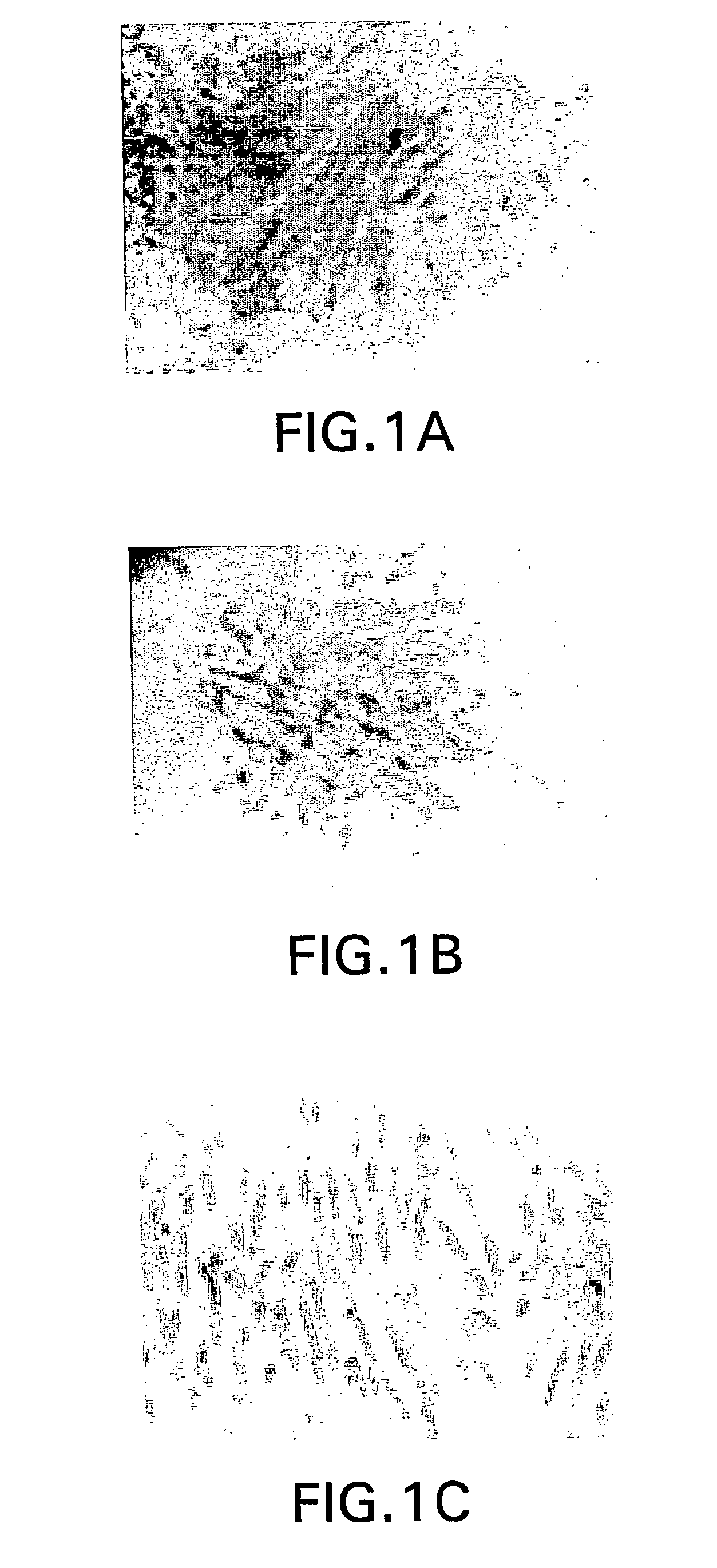 Adult human dental pulp stem cells in vitro and in vivo