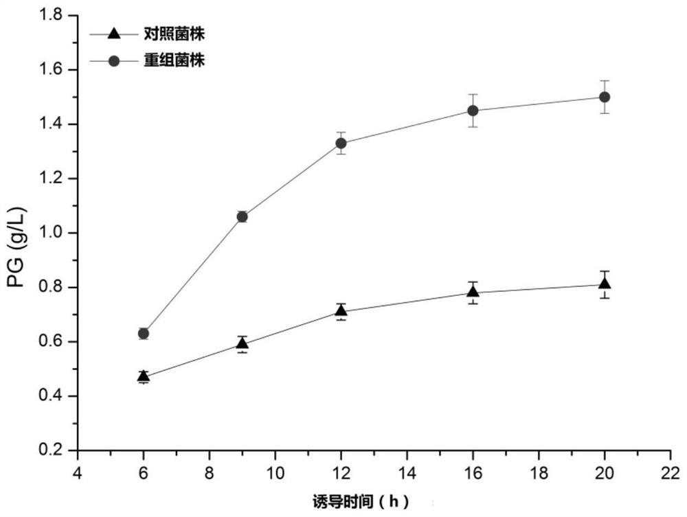 A genetically engineered bacterium for increasing phloroglucinol production and its construction method and application