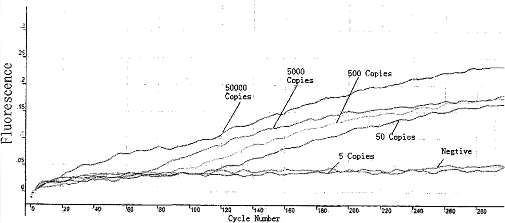 Fast detection method of nucleic acid of A H1N1 influenza virus and kit thereof