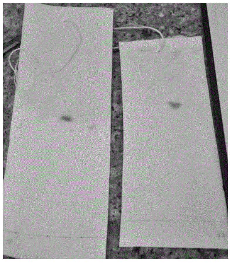 A method for identifying the cell wall skeleton of Nocardia rubrum