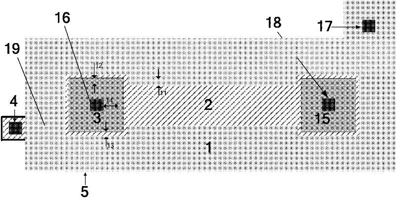 Inverse ratio or small ratio NMOS (N-channel Metal Oxide Semiconductor) tube layout structure resistant to total dose irradiation effect