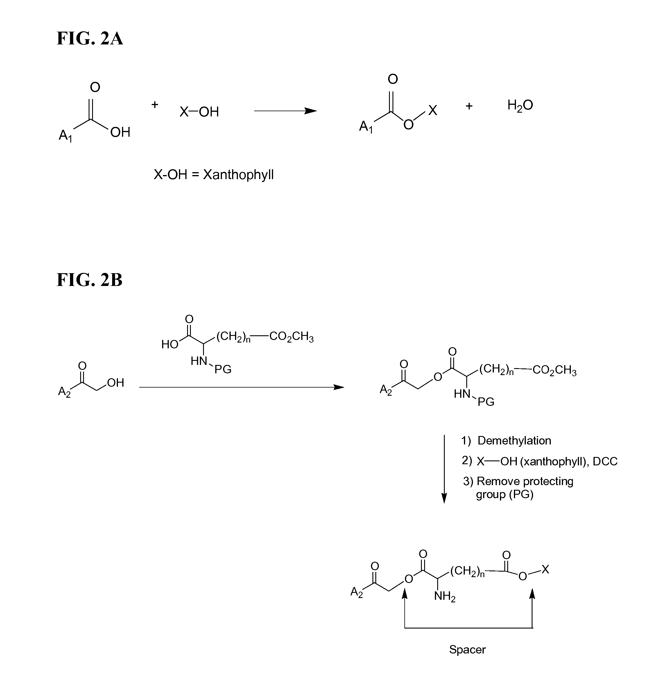 Methods and compositions for treatment of macular and retinal disease