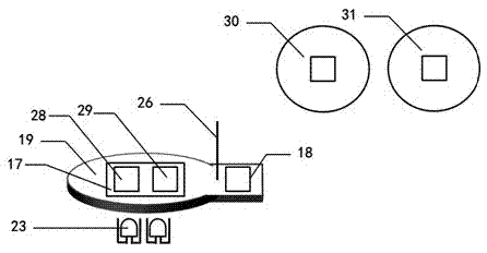 System and method for simultaneous detection of extracellular environmental toxicants and cell metabolism