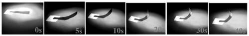 Preparation method of photoresponse unbraced film and application thereof