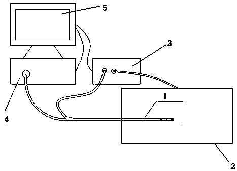 Visual positioning guide wire