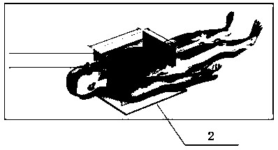 Visual positioning guide wire