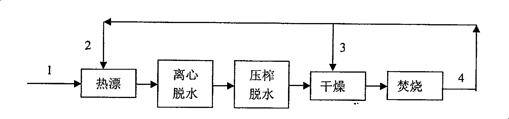 Water hyacinth resource processing method