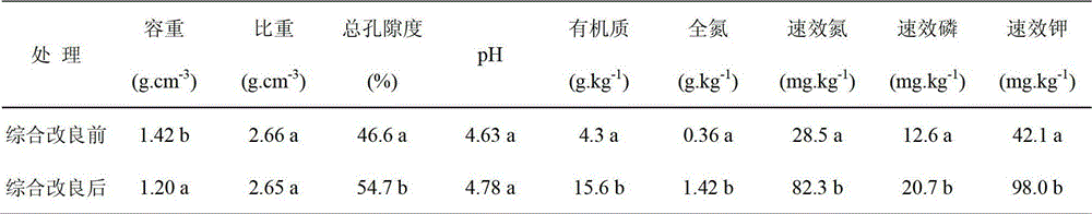 Method for rapidly improving plough-layer soil of newly cultivated barren lands in southern hilly and mountainous regions