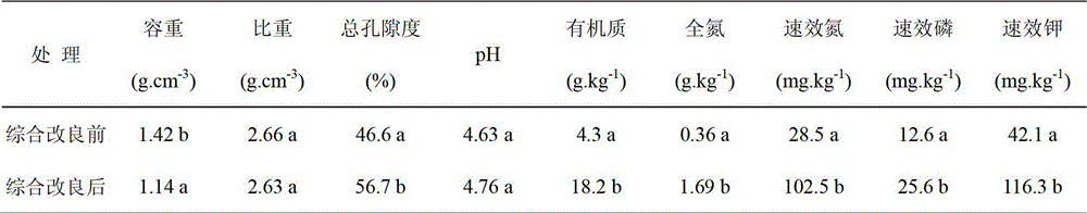 Method for rapidly improving plough-layer soil of newly cultivated barren lands in southern hilly and mountainous regions