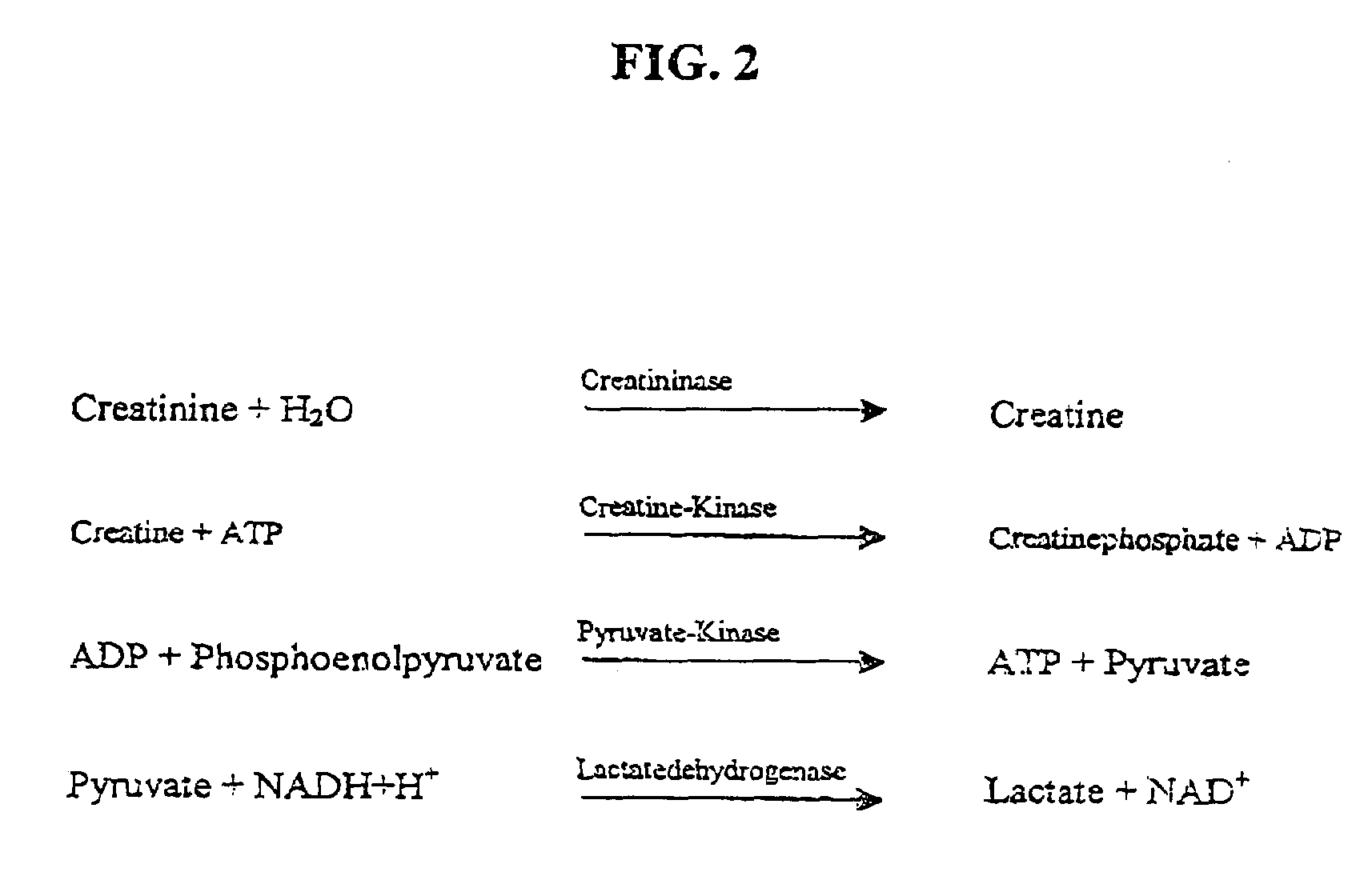 Nucleotide sequence for creatinine deiminase and method of use