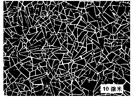 Method for preparing porous metal film transparent conducting electrode based on cracking template method