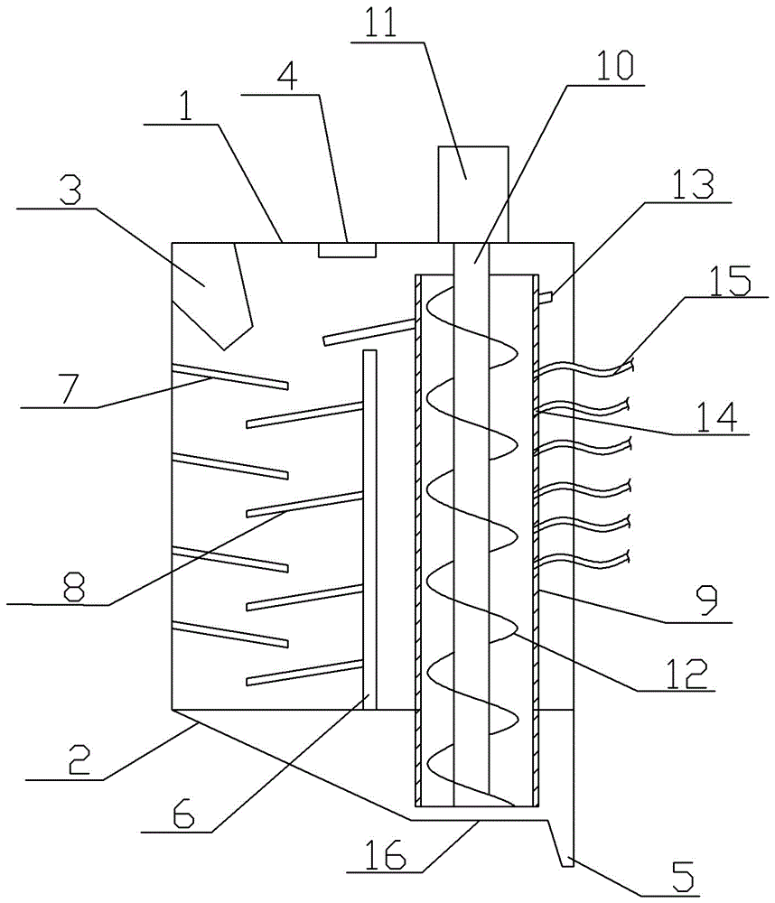 Dryer for broadleaf holly leaves