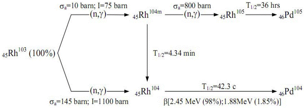 Delay eliminating method for signal of self-powered rhodium detector based on Luenberger-form H-infinity filtering