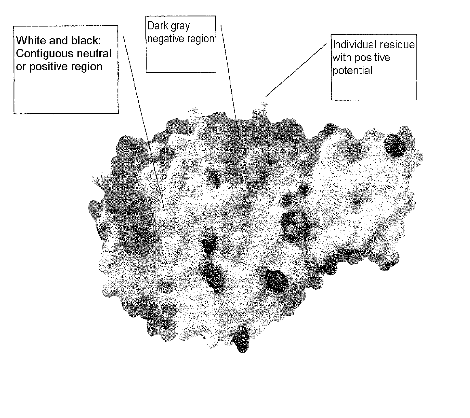 Alpha-amylase variants stabilized against dimerization and/or multimerization, method for the production thereof, and detergents and cleansers containing these alpha-amylase variants