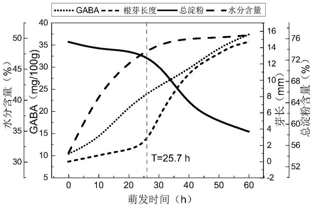 A kind of production method of high-yield mature highland barley whole powder rich in γ-aminobutyric acid