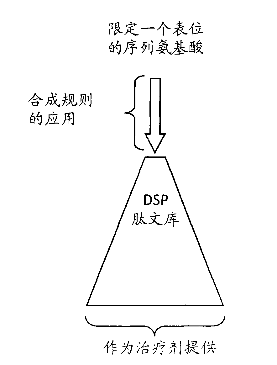 Methods for the directed expansion of epitopes for use as antibody ligands