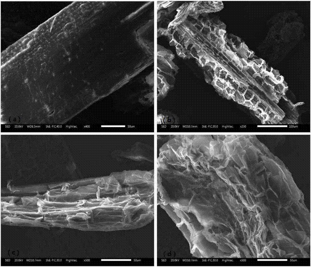 Method for reinforcing waste biomass sodium carbonate pretreatment by utilizing lignin-degrading bacteria