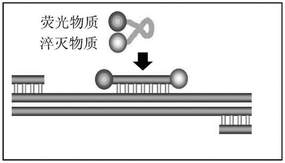 A Fluorescent RT‑PCR Kit for Detection of Japanese Encephalitis Virus