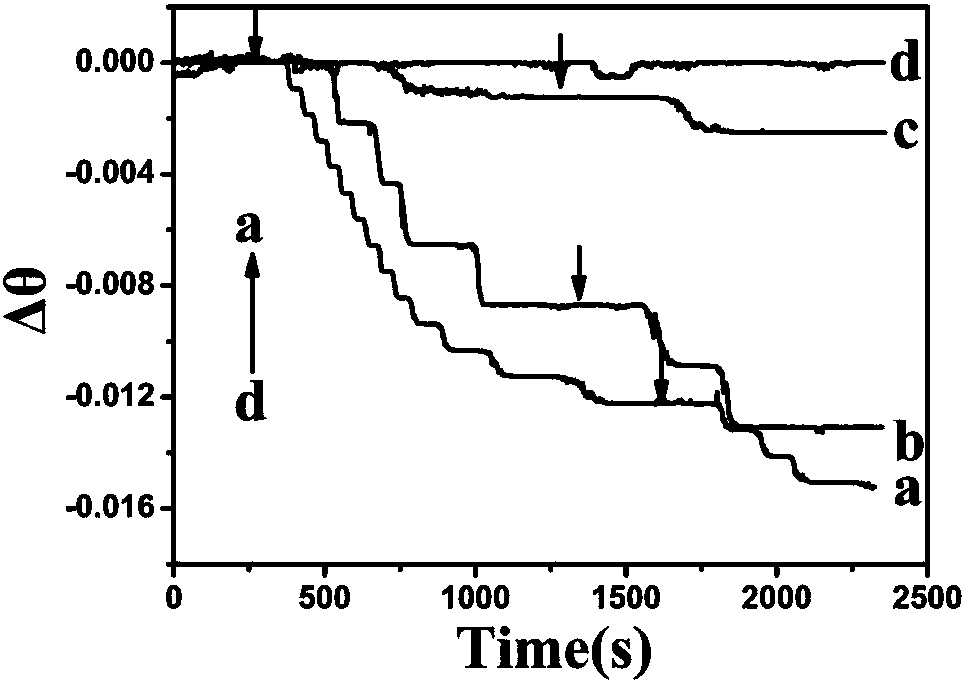 SPR method for rapidly screening charge-reversed cationic gene vector