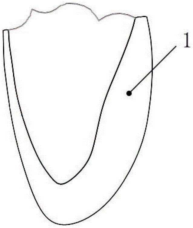 Heart Chamber Simulators Actuated by Hydraulic or Pneumatic Artificial Muscles