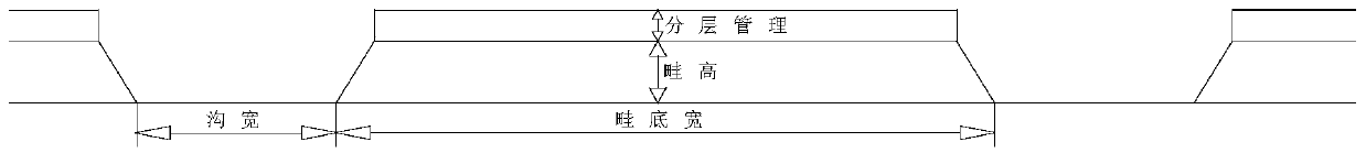 A kind of pinellia ecological cultivation method