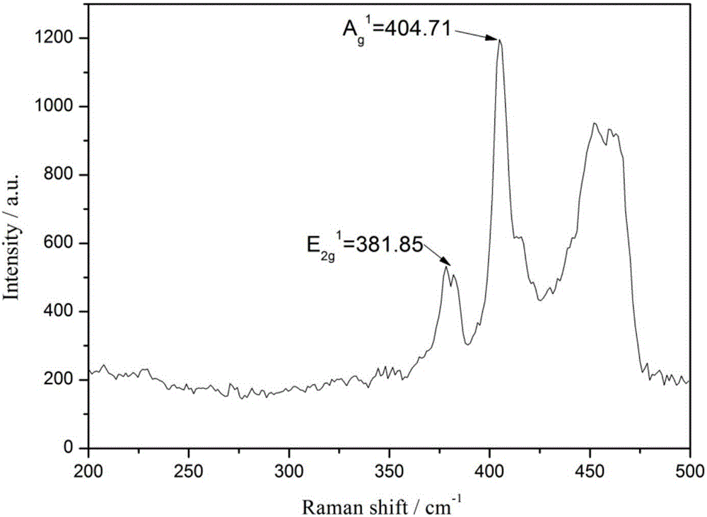 Preparation method of layered MoS2-Fe3O4 nano composite material