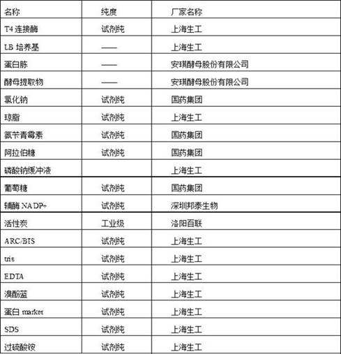 Glucose dehydrogenase dna molecule, carrier and bacterial strain and application