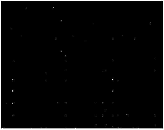 Flow import method of ns3 simulation system based on netflow