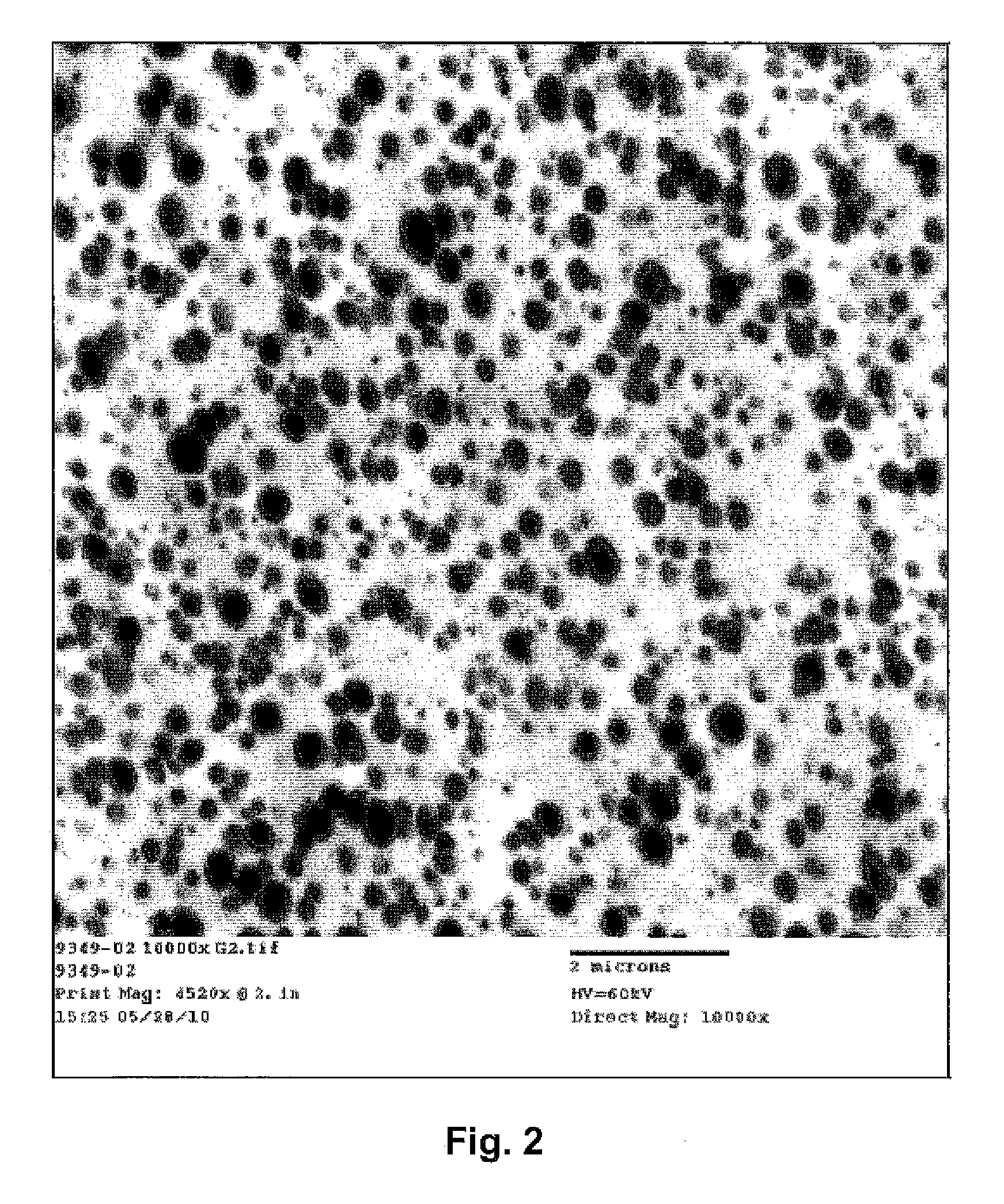 Modified polylactic acid fibers