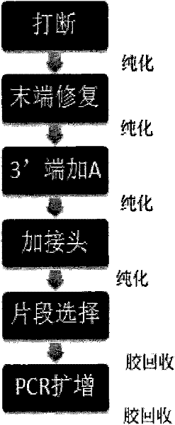 Method for constructing high-flux and low-cost Fosmid library, label and label joint used in method