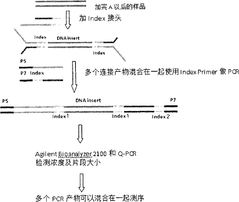 Method for constructing high-flux and low-cost Fosmid library, label and label joint used in method