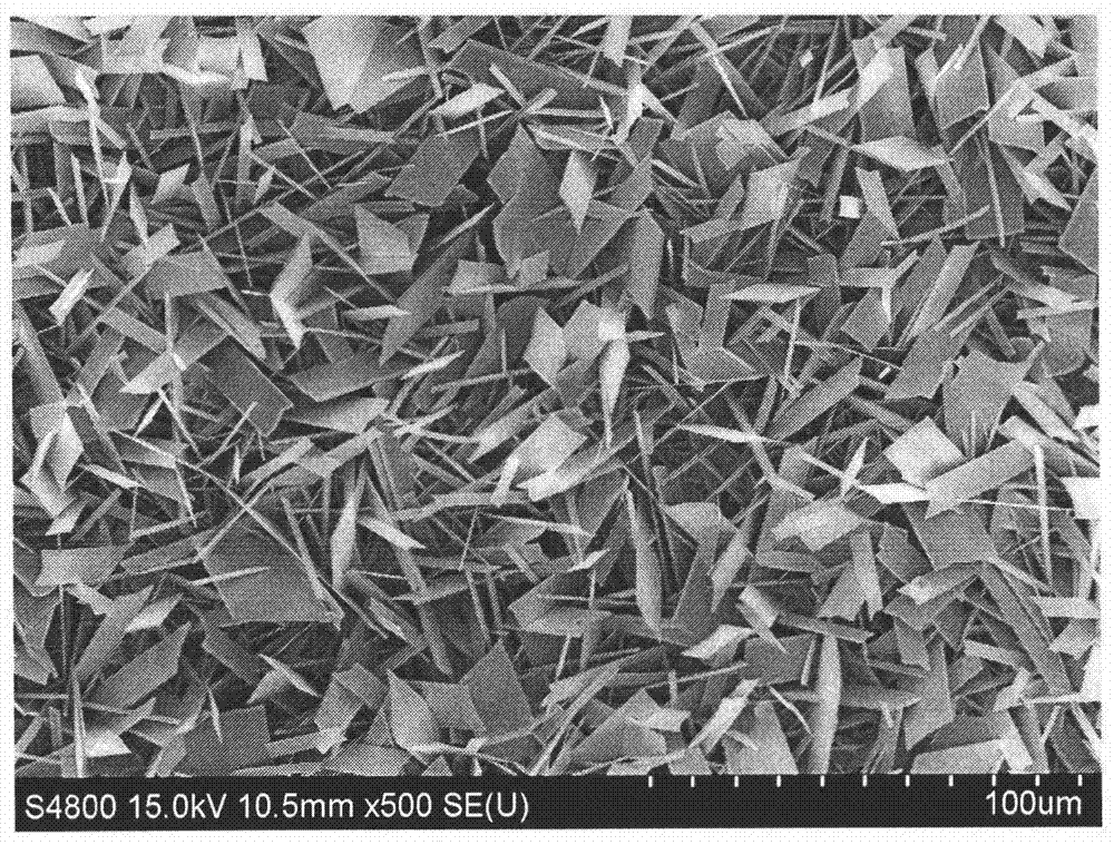 Method for preparing orthogonal-phase MoO3 monocrystal nanosheet through chemical vapor deposition