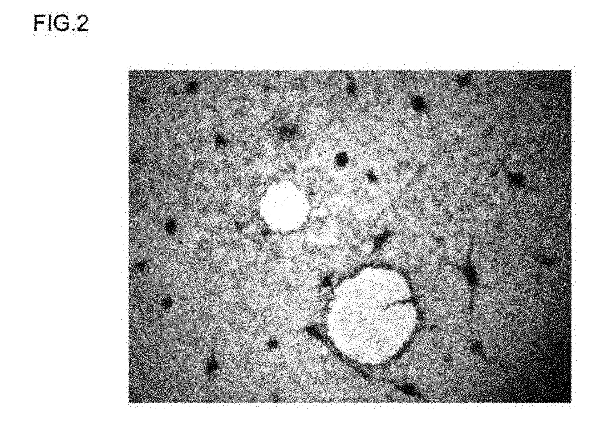 Method for inducing differentiation of pluripotent stem cells into endodermal cells