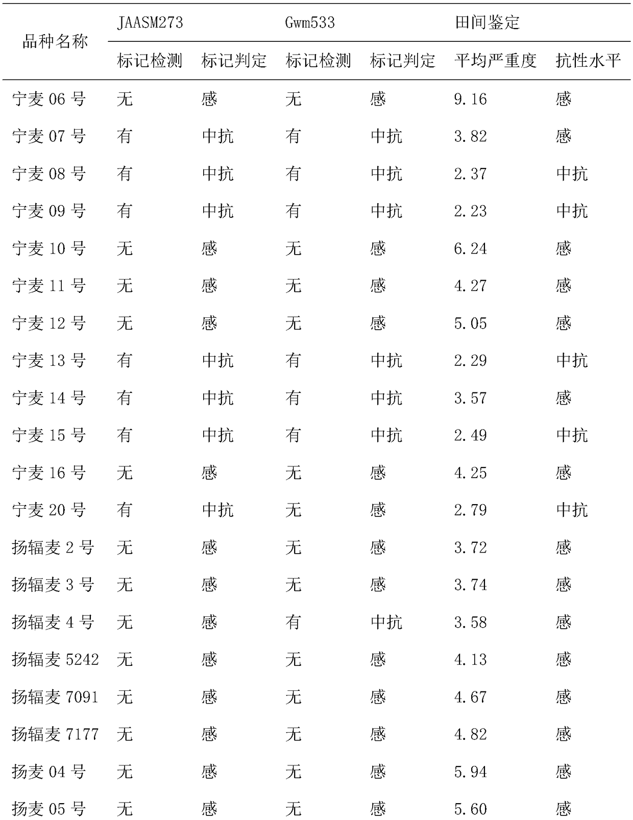 Molecular marker for identifying fusarium head blight resistance of wheat, and application of molecular marker